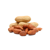 Raw Peanut box